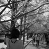 point of view