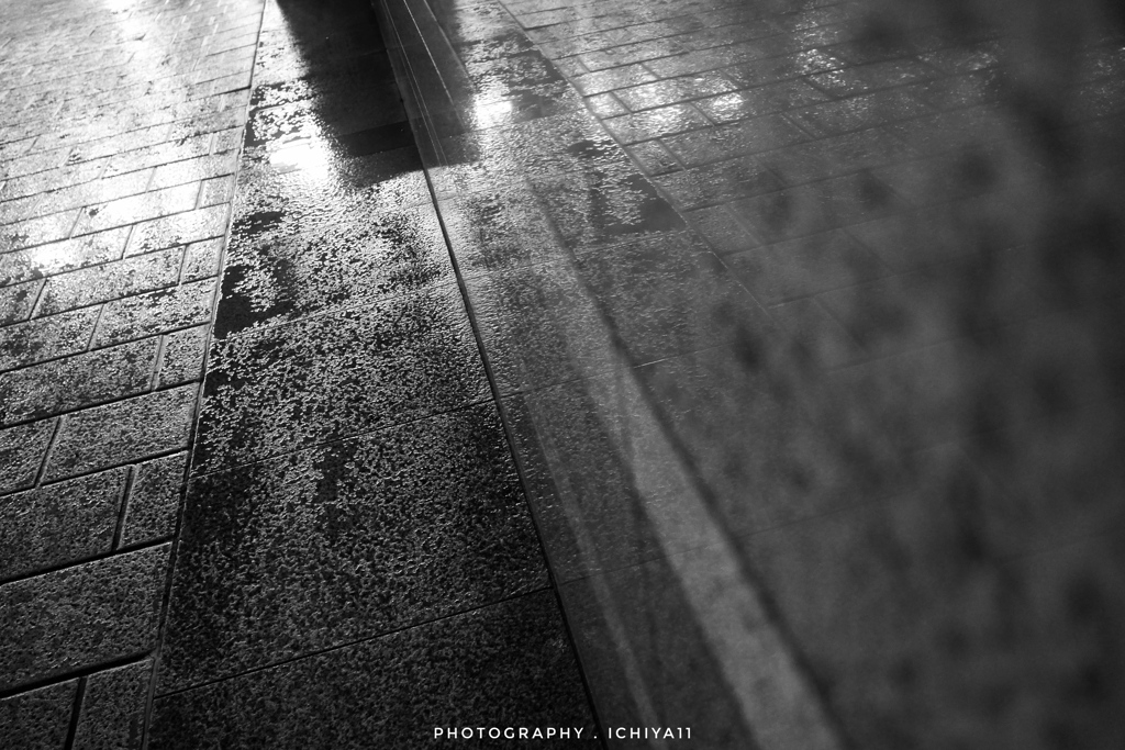 Lost May #4