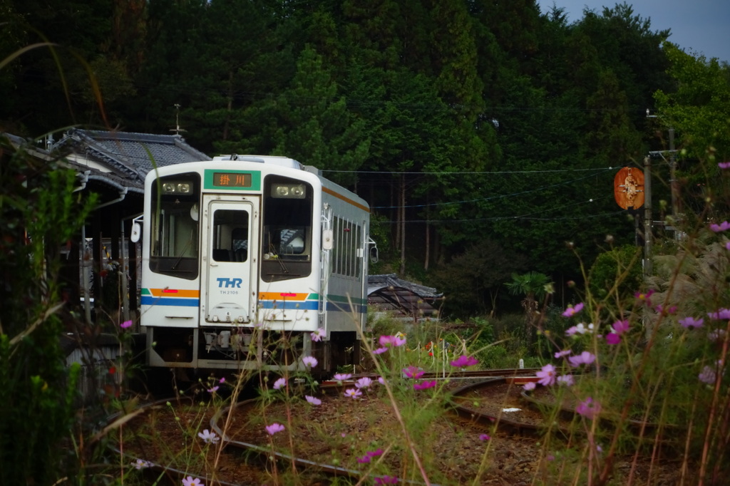遠江一宮