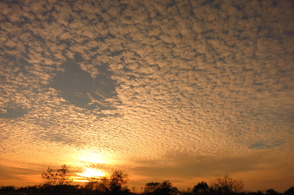 Scale cloud