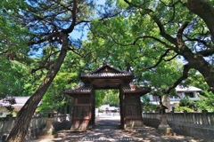 緑の一宮神社
