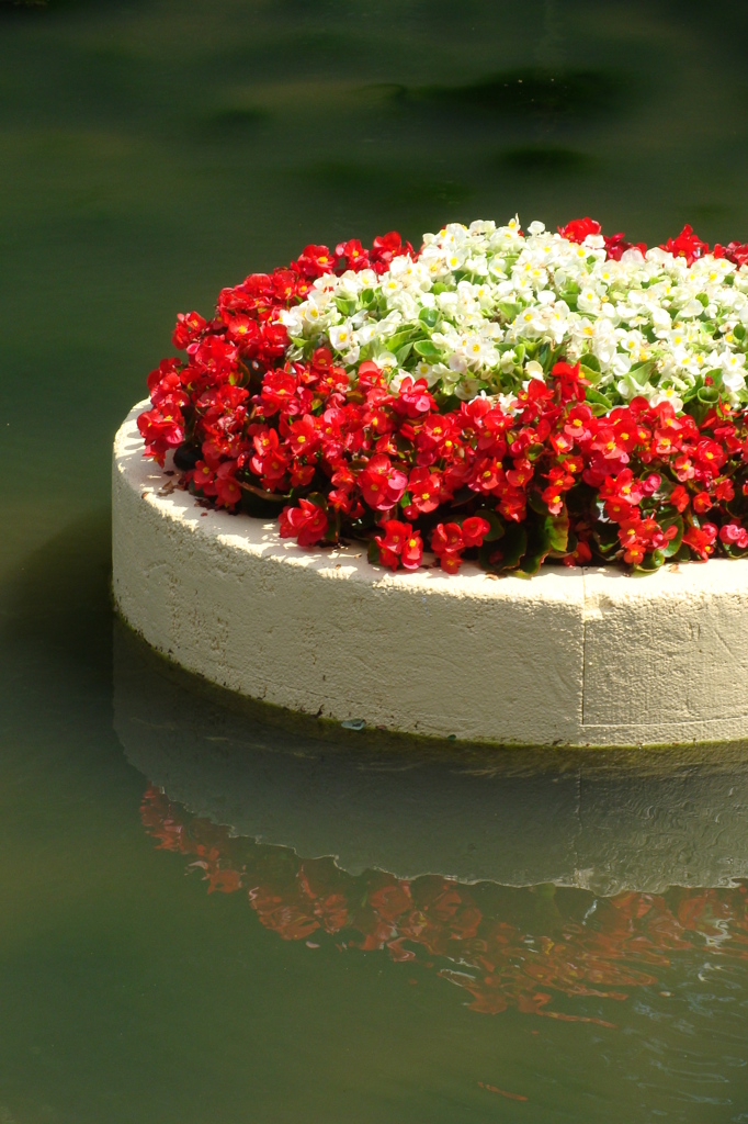 a cake of flowers