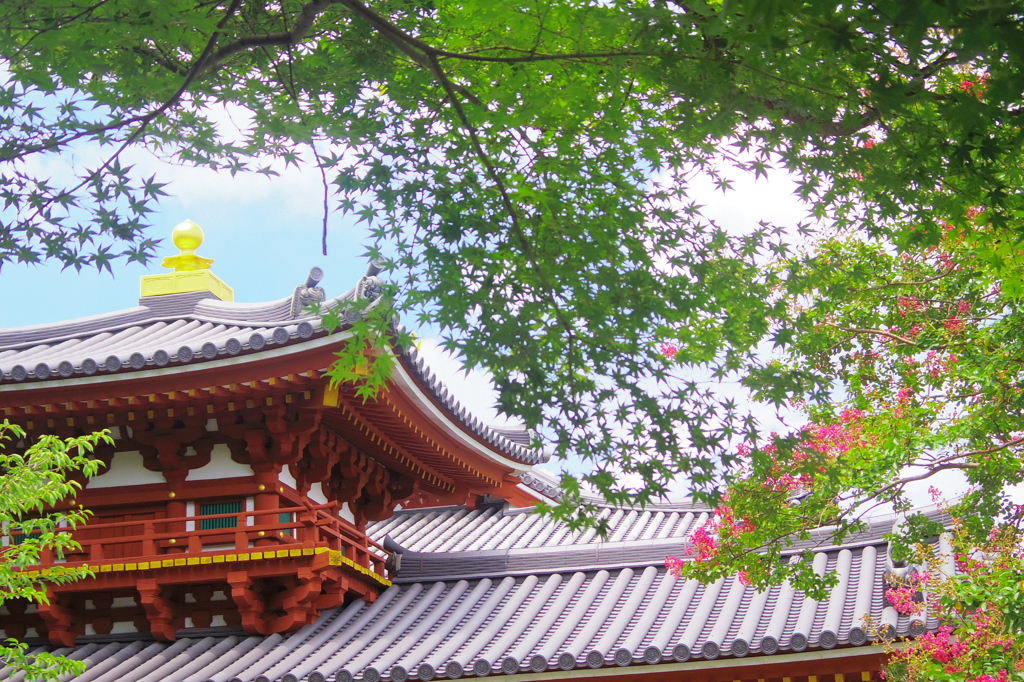 雅な横顔
