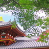 雅な横顔