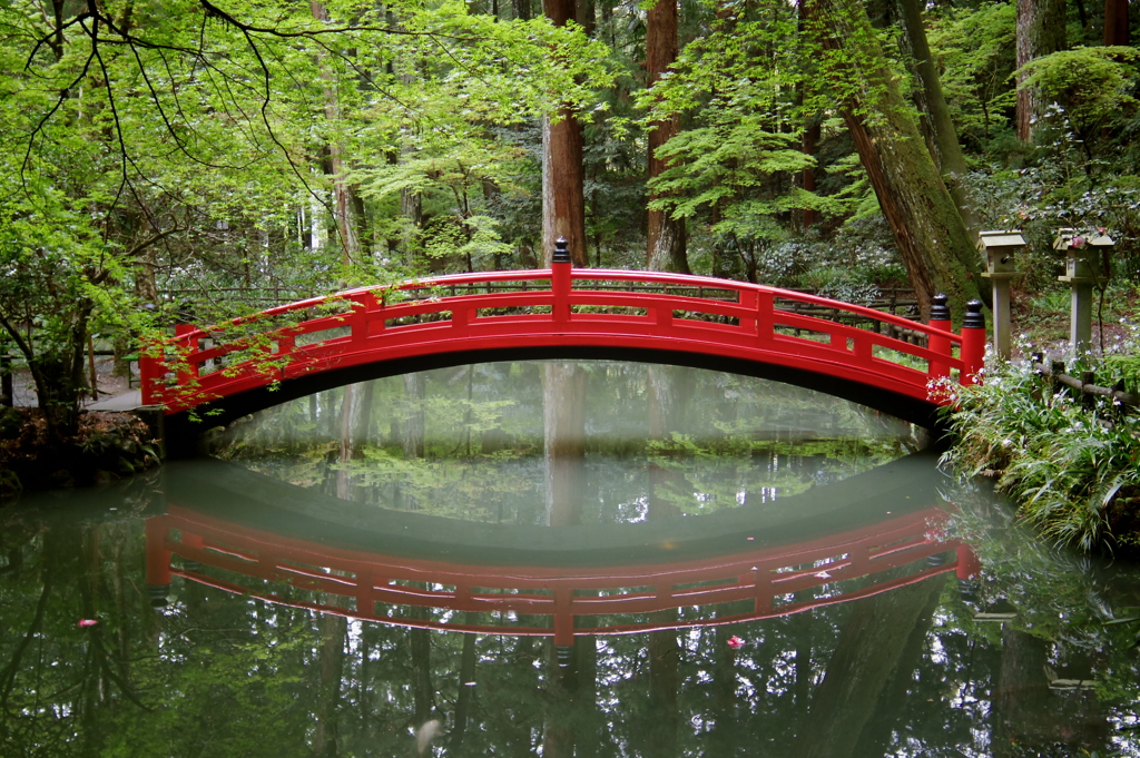 a symmetry of the bridge　-　IMGP2571