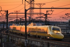 黄昏時のイエロー