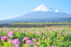 蓮華畑にて