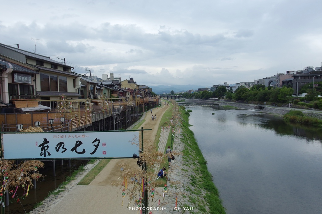 鴨川沿い京の七夕