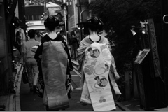 異国の視線