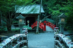 秋の小雨の小國神社 壱