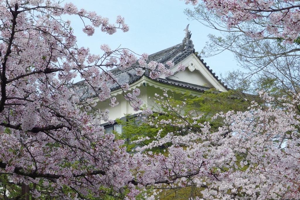 岡崎城にて