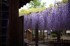 雨降りの間際