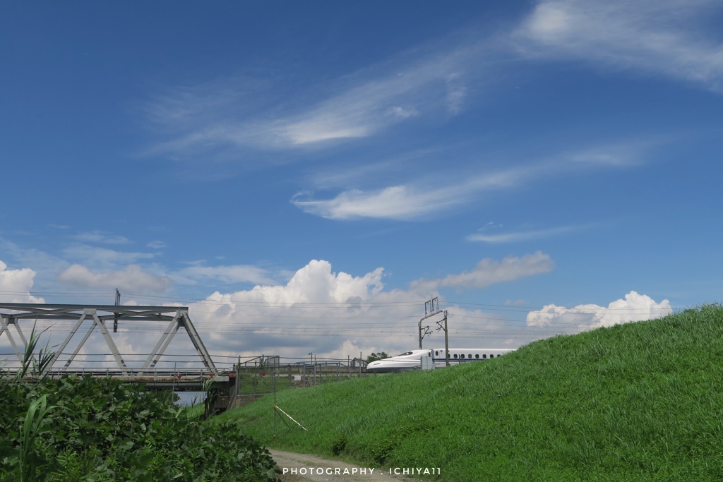 青い空と白い車両