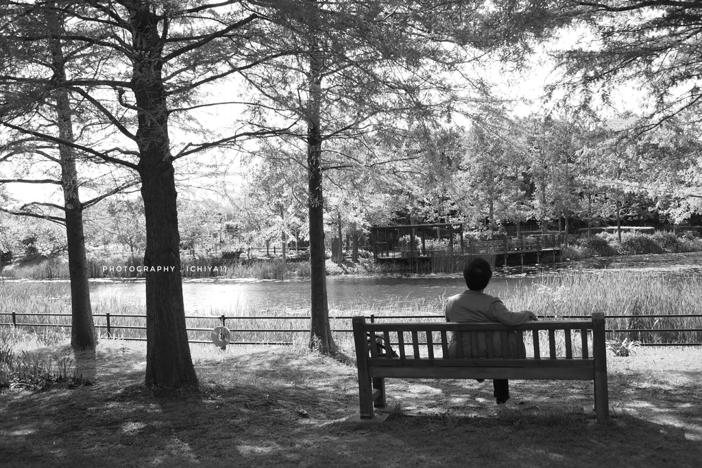 a monochrome afternoon