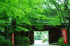 夏の終わりの油山寺