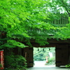 夏の終わりの油山寺