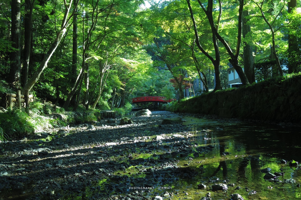 色付く季節を目前に