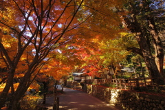 法多山 紅葉