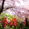 想い出すは、弁財天の桜