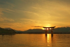 金色の夕景と鳥居
