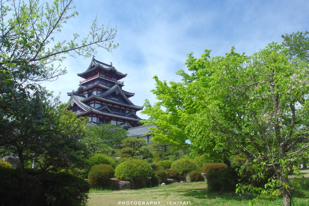 新緑映える伏見桃山