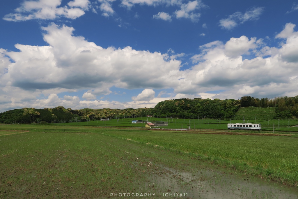 5月の青空
