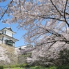 桜纏う石川門