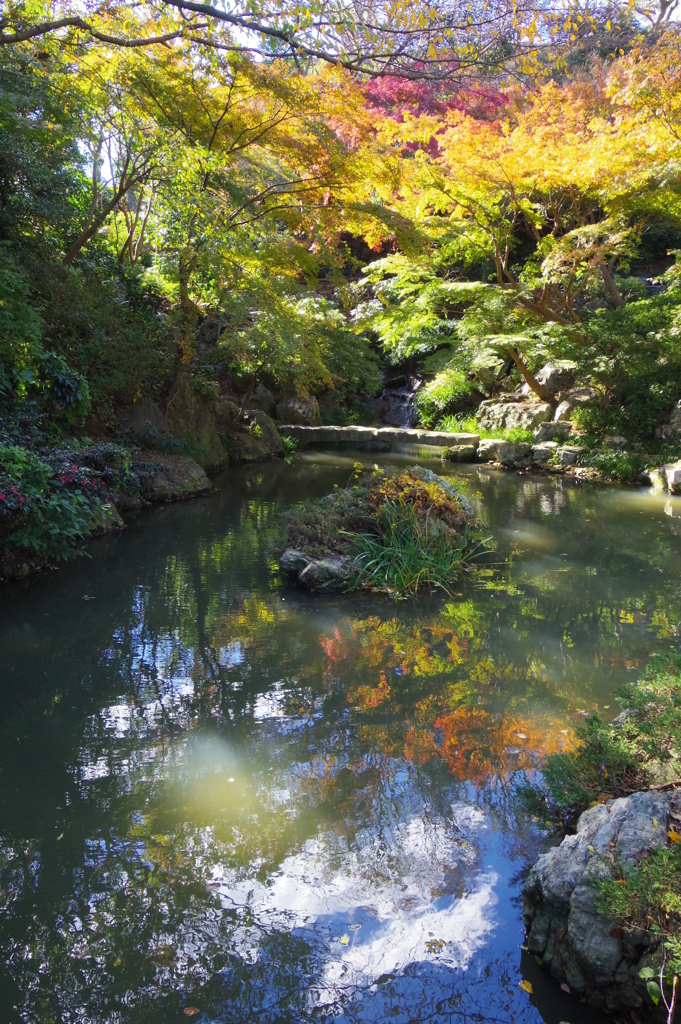 紅葉　-　IMGP2146