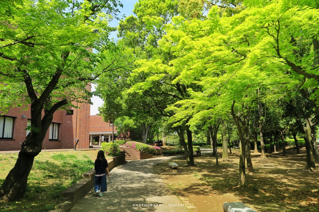 新緑の美術館へ