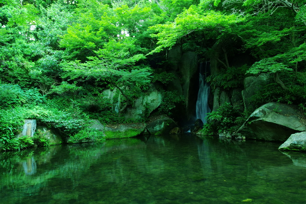 緑と水の音