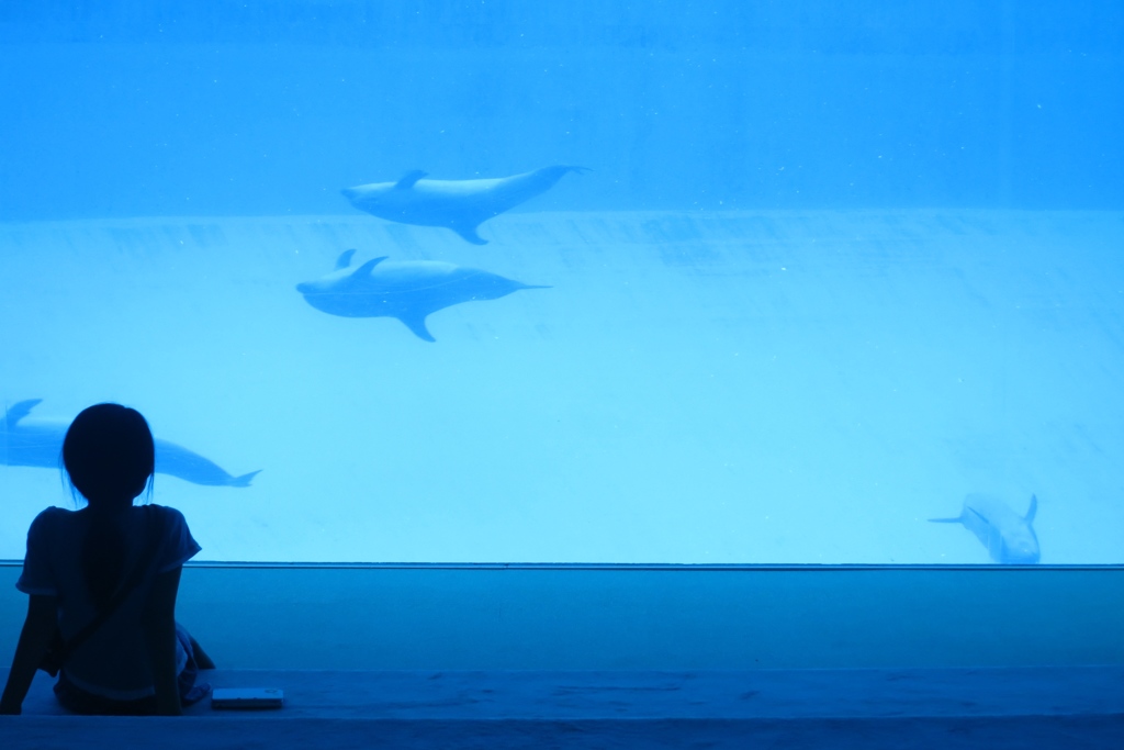 水族館