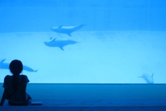 水族館