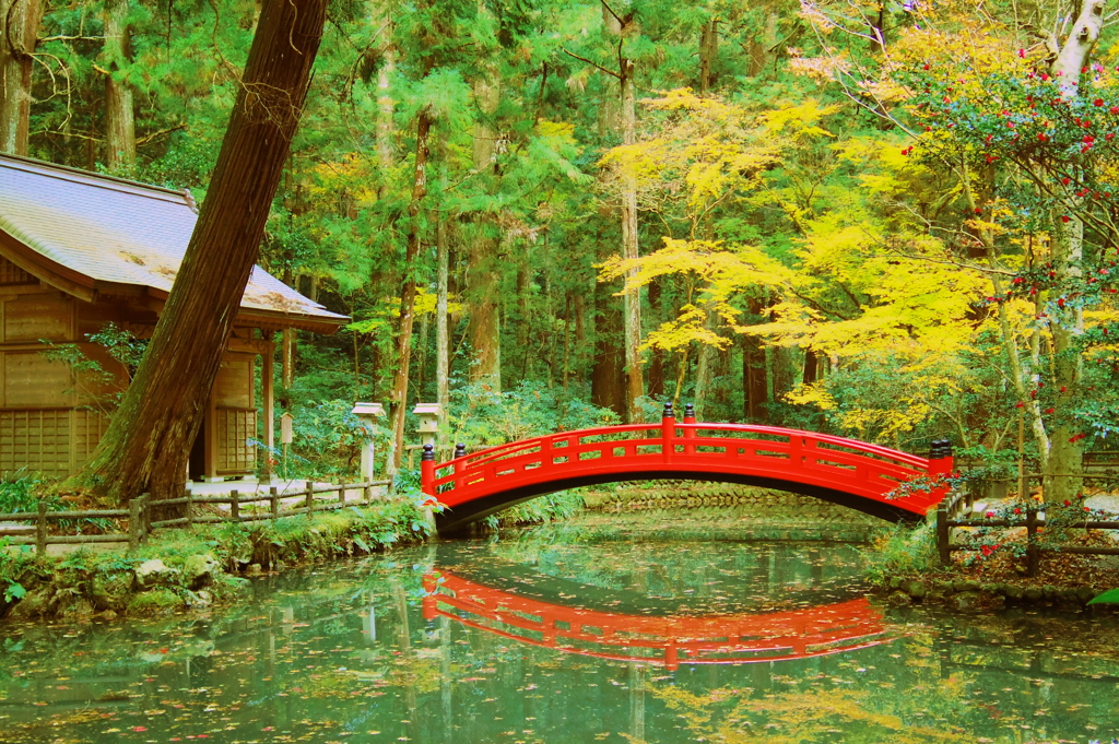 紅橋　-　IMGP0805