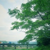 新緑の鉄橋で