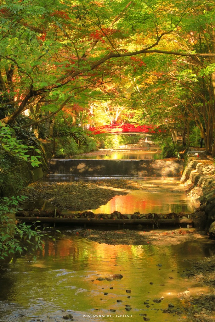 宮川の煌きはまだまた続く