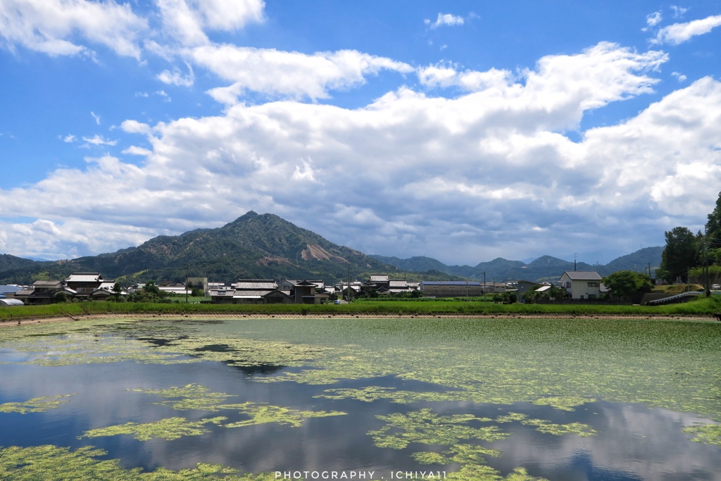 愛媛県道155号線にて