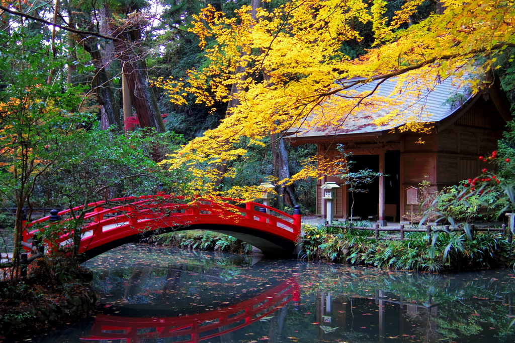 紅葉と紅橋　-　IMGP0829