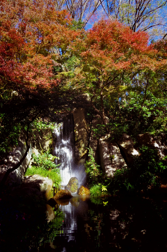 紅葉と小滝　-　IMGP2133