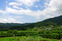 6月の青空と