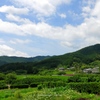 6月の青空と