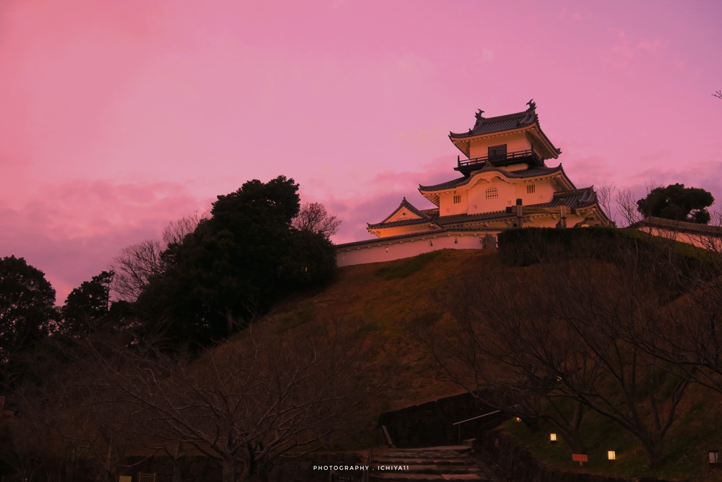 暮れる掛川城