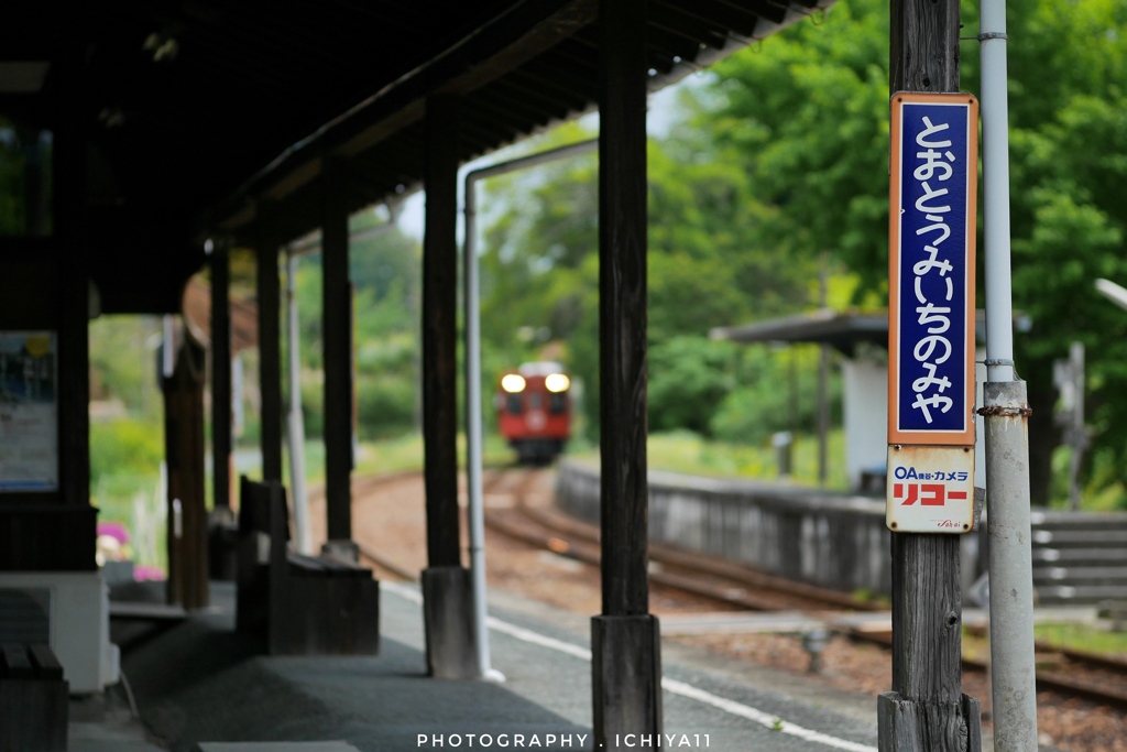 初夏のホーム