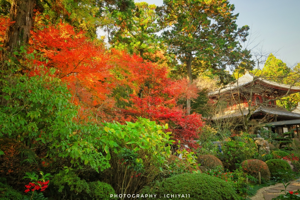 晩秋の龍潭寺