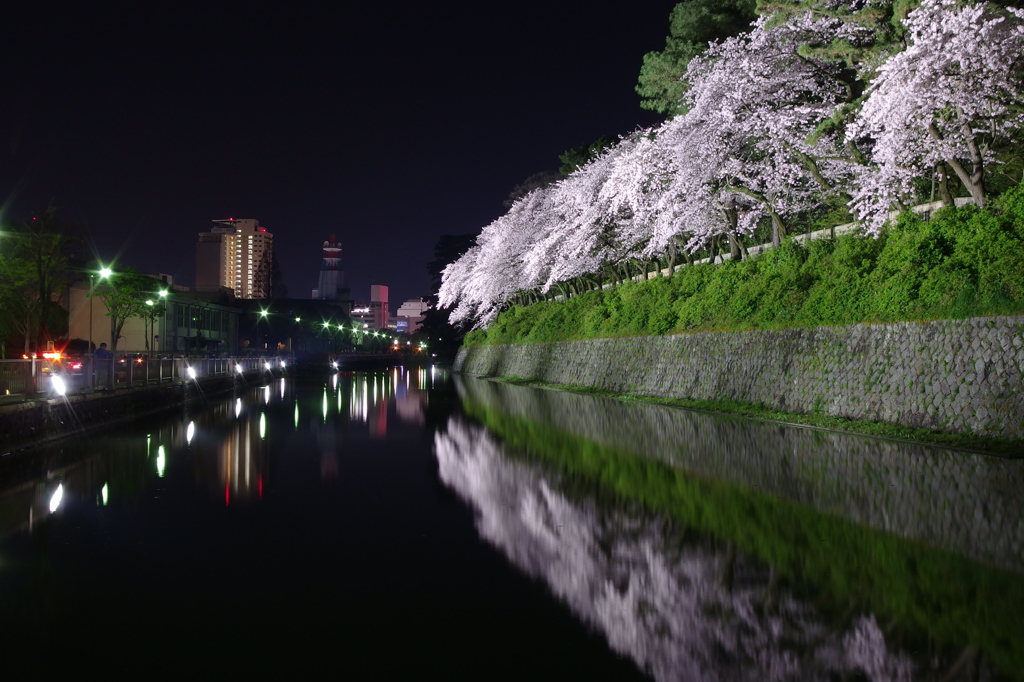 駿府の夜景に桜と