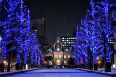 蒼い赤れんが庁舎