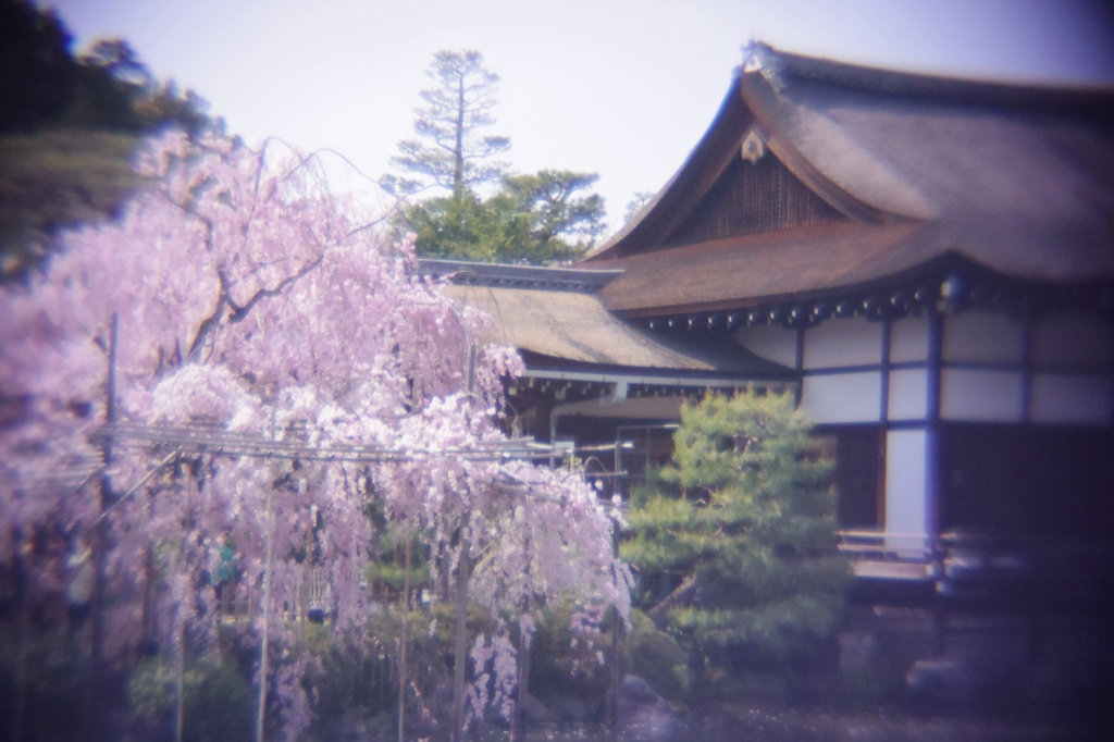 平安神宮にて