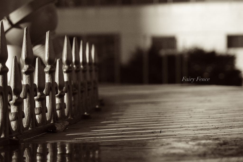 Fairy Fence