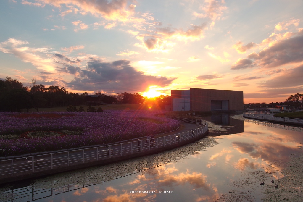 Sunset reflection