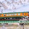 桜に包まれて