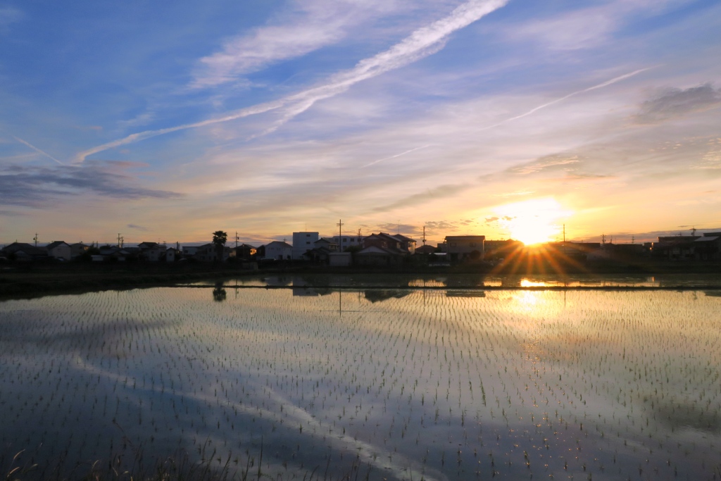 雨上がりの空に